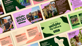 Derbyshire Wildlife Trust new brand roll out screens